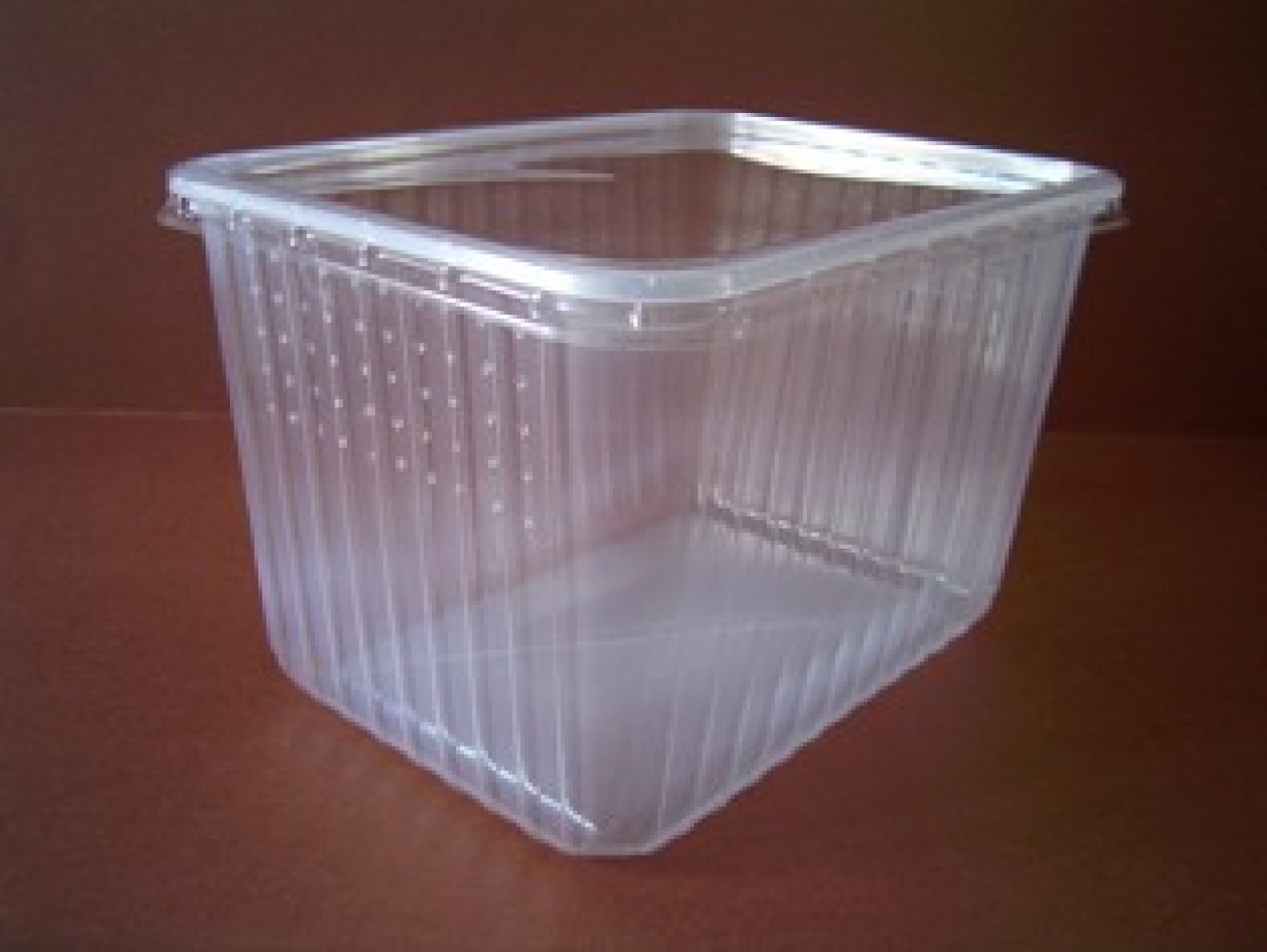 Perforierte Heimchen Box 2 Liter (2000 ml) für Wirbellose und Reptlien